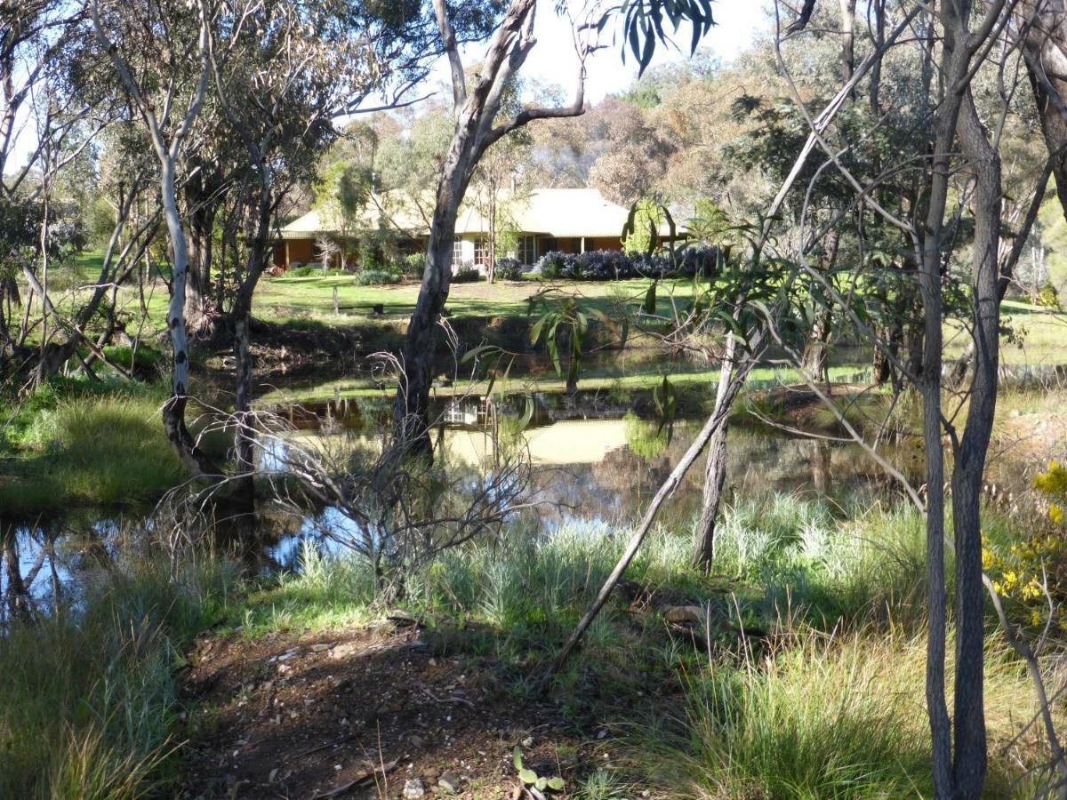 Wildwood Guesthouse Mudgee Exterior photo